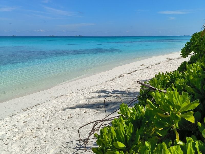 <p>Viaggio alle Maldive - Isola Dhigurah</p>